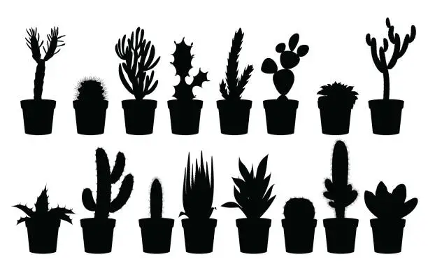 Vector illustration of Set of black cactus silhouettes in pots.