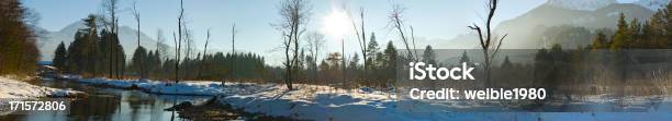 Xxl Winter Panoramalandschaft Mit Einsamen Bäumen Und Sonntag Stockfoto und mehr Bilder von Fluss