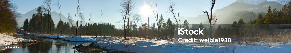 XXL invierno paisaje de Panorama con lonely árboles y sol - Foto de stock de Reutte libre de derechos