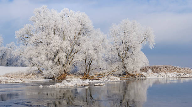 istock Winter landscape on the river 171572839