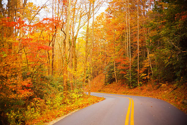 осенний road - gatlinburg road winding road tennessee стоковые фото и изображения