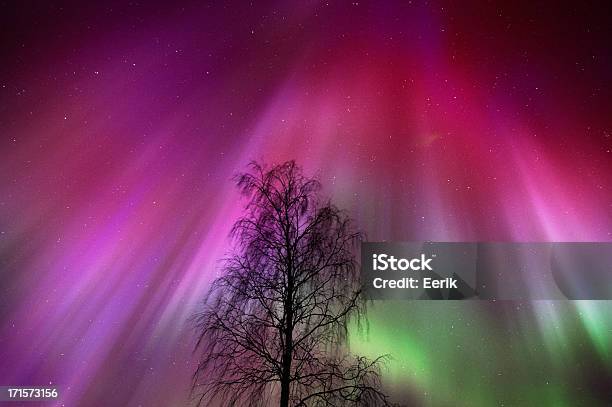 Luces Del Norte Aurora Boreal Foto de stock y más banco de imágenes de Aurora boreal - Aurora boreal, Púrpura, Rojo