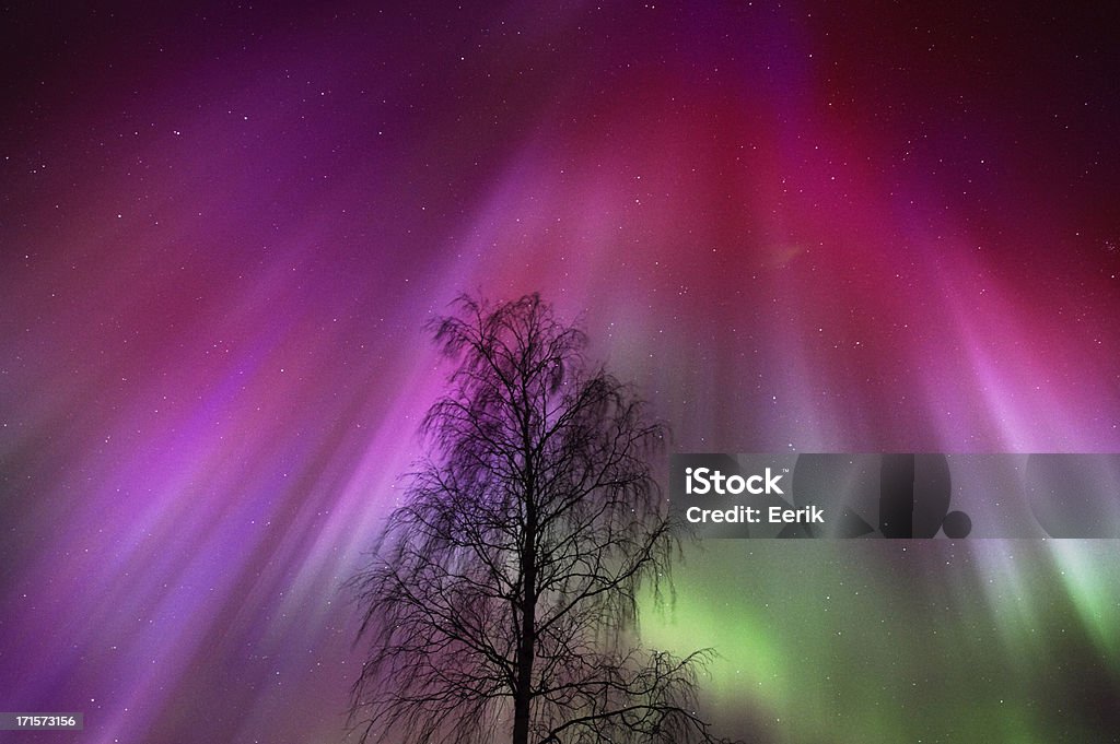 Northern Lights, Aurora Borealis - Zbiór zdjęć royalty-free (Czerwony)