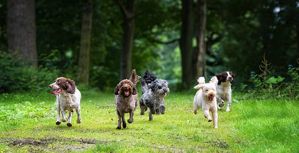 istock live each day like it is your last 171573405