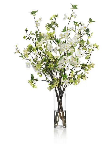Photo of Large Spring bouquet with green and white flowers on white background