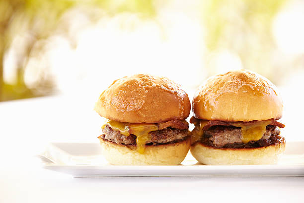 hamburger gourmet contro sfondo natura - symmetry burger hamburger cheese foto e immagini stock