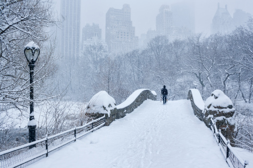 Gapstow Bridge in Central Park, New York City during a heavy snowstorm. Falling snow visible.  Faint outline of the central park south skyline is visible. Slightly cooler white balance was chosen on purpose to convey the sense of coldness.