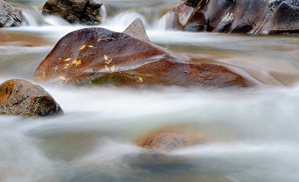 górski potok, st. vrain canyon, w colorado - st vrain zdjęcia i obrazy z banku zdjęć