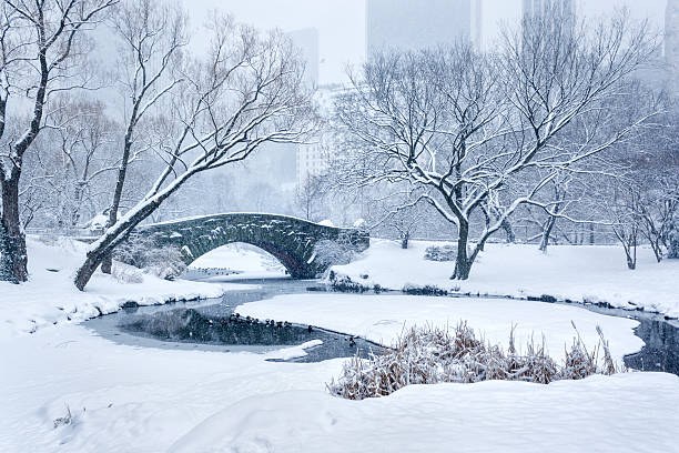 Gapstow Bridge in Central Park, New York City during a heavy snowstorm. Falling snow visible.  Faint outline of the central park south skyline (including the Plaza hotel) is visible. Slightly cooler white balance was chosen deliberately to convey the sense of coldness.