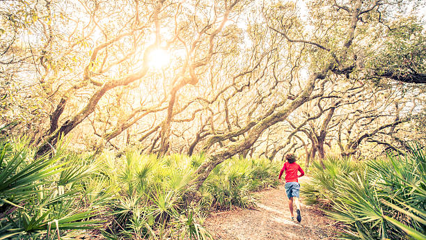 treino corredor masculino em execução através da floresta ao pôr do sol - georgia sunlight healthy lifestyle cumberland island imagens e fotografias de stock