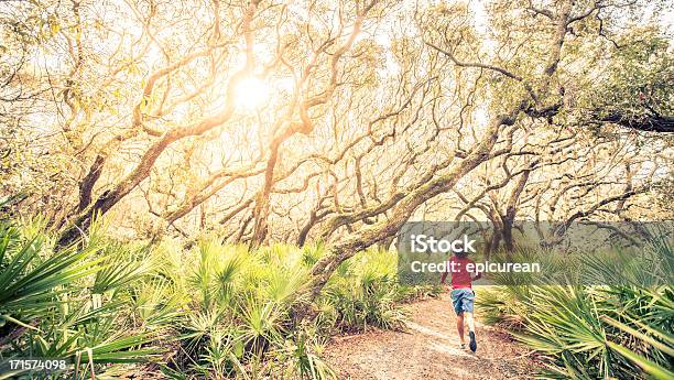 Foto de Corredor Masculino Em Treinamento Corrida Pela Floresta Ao Pôr Do Sol e mais fotos de stock de Corrida a Distância