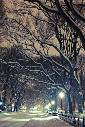 The mall alley in Central park by night, New York City