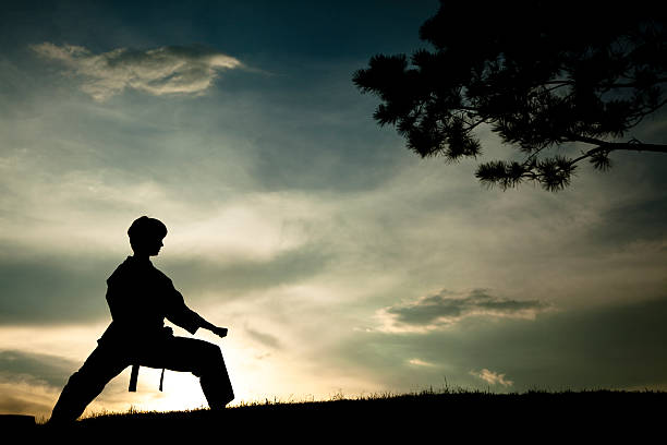 mujer de silueta practicar artes marciales, karate.  puesta de sol.  al aire libre.  sky. - martial arts women tae kwon do black belt fotografías e imágenes de stock