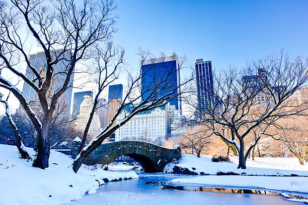 Gapstow bridge in Central park by day, New York City