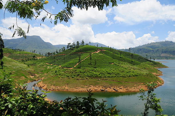 istock Maskeliya,Sri Lanka. 171574829