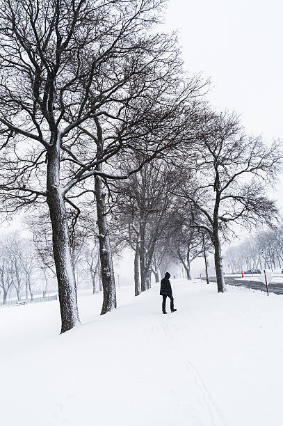 istock Snowing day in Montreal, Canada. 171574850