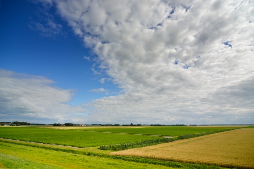 Landscape of farmland in the province of Flevoland in The Netherlands on a beautiful summer's day.