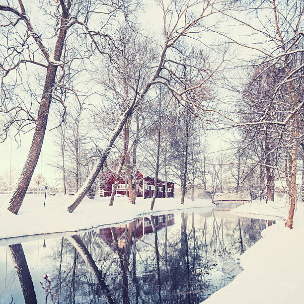 зима в швеции - awe non urban scene rural scene minus degrees стоковые фото и изображения