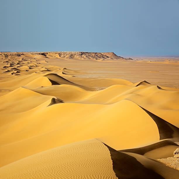 sand dunes bei sonnenaufgang - white desert stock-fotos und bilder