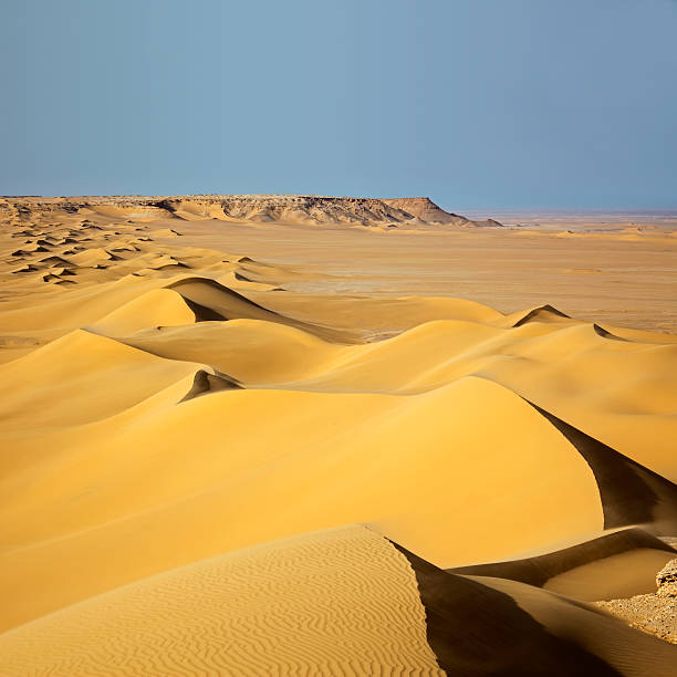 sand dunes at sunrise - white desert fotografías e imágenes de stock