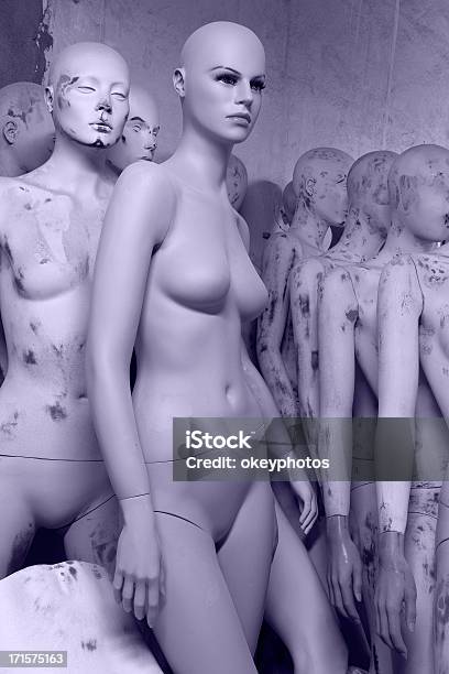 Women Mannequins Stock Photo - Download Image Now - Female Likeness, Females, Portrait