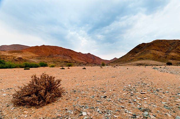 Barren dessert landscape, South Africa.