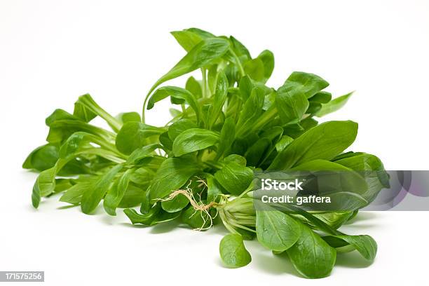 Salada De Milho - Fotografias de stock e mais imagens de Salada de Milho - Salada de Milho, Figura para recortar, Alface