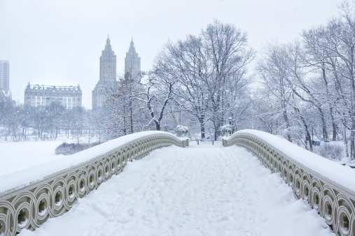 Bow bridge in Central Park, New York City. It is a cast iron bridge built between 1859-1862. It has been featured in many movies as a romantic spot. In the background are visible two famous New York apartment buildings, the Dakota and the San Remo. Falling snow visible in high resolution file.