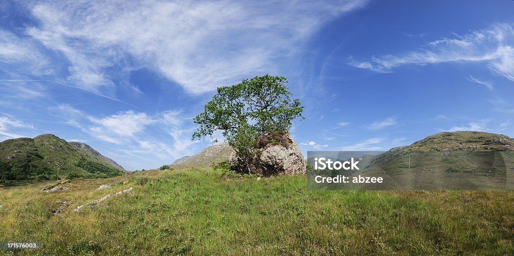 Mountain Eiche in schottischen valley mit einem beeindruckenden Wolken - Lizenzfrei Abgeschiedenheit Stock-Foto