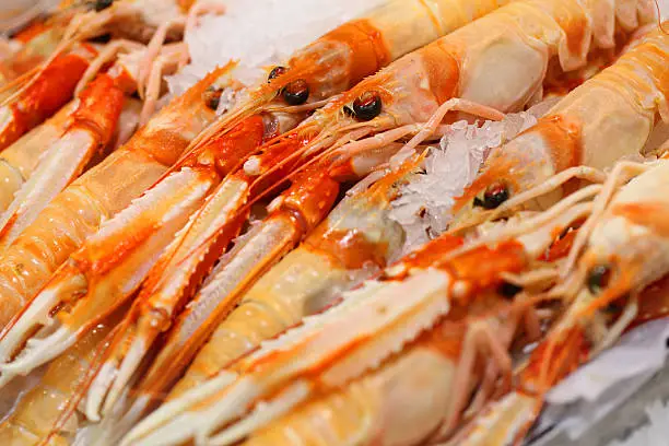 Picture taken in a supermarket in Spain. The image depicts norway lobster freshly preserved in ice. This animal is also known as scampi or as langoustine.