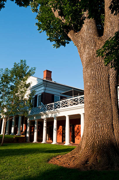 istock University of Virginia 171576418