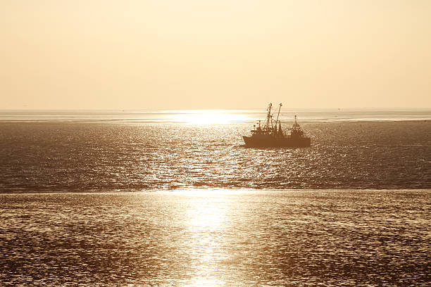 Shrimp Boat in Golden Sunset.