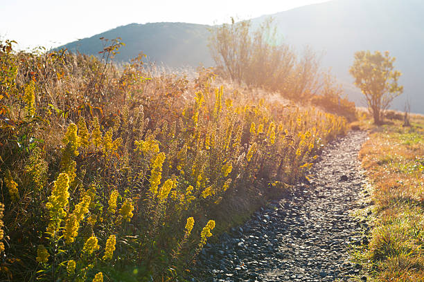 Sunrise in late September on the Applachian Trail where it passes through the Roan Balds/Highlands in North Carolina and Tennessee