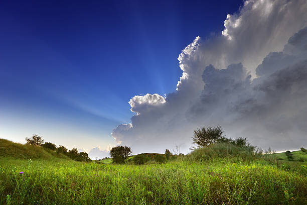Landscape view of a green field and sky