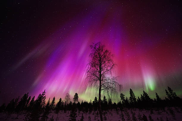 aurore boréale, lumières septentrionales - aurora borealis aurora polaris lapland finland photos et images de collection