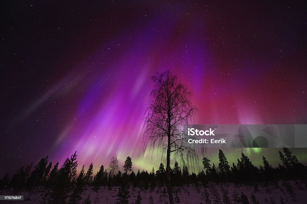 Aurora Borealis, Northern lights Aurora Borealis in Lapland. Aurora Polaris Stock Photo