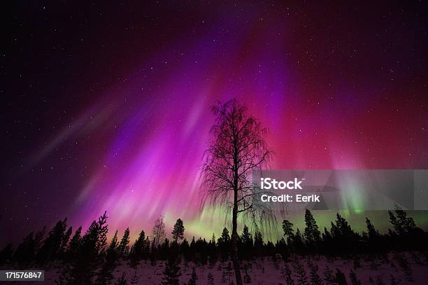 Aurora Borealis Northern Lights Stock Photo - Download Image Now - Aurora Polaris, Aurora Borealis, Finland