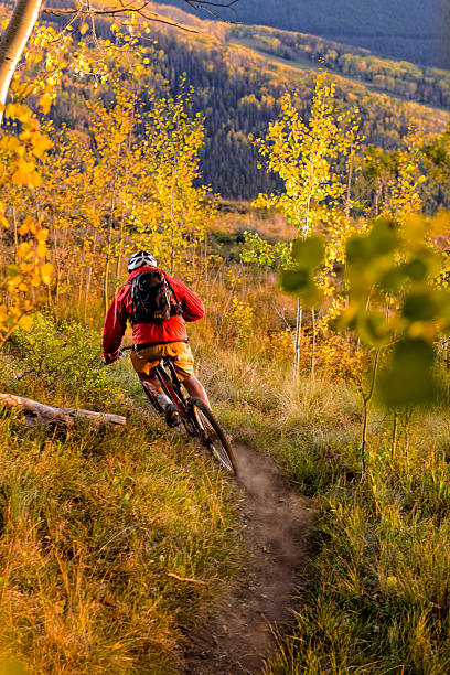 andar de bicicleta de montanha na floresta de aspen singletrack - mountain biking colorado action cycling imagens e fotografias de stock