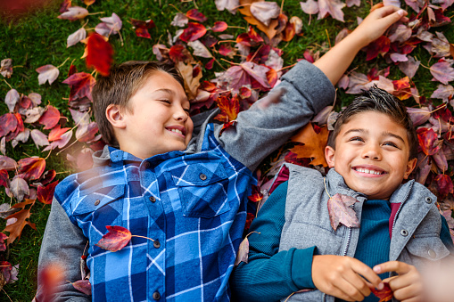 Set of young brothers lay in falling leaves at the park