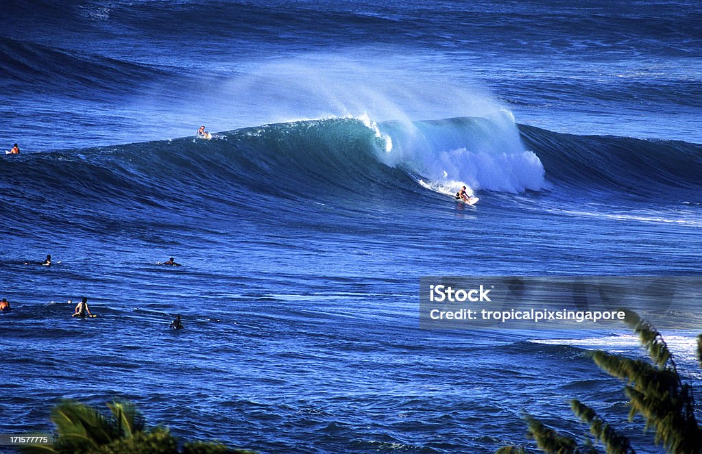 O'ahu, Havaí, EUA, North Shore, pôr do sol praia. - Foto de stock de Costa norte - Oahu royalty-free