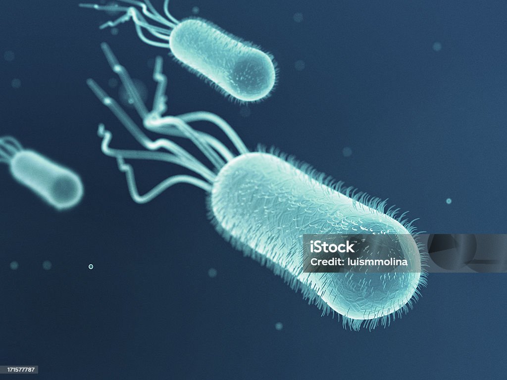 Escherichia Coli (E.  Coli.) - Foto stock royalty-free di Escherichia coli