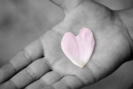 Rose Petal with Heart-Shaped in hand