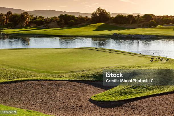 Golf Di Palm Desert - Fotografie stock e altre immagini di Campo da golf - Campo da golf, Scuro, California