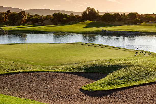 Palm Desert Golf Course Sunrise at a beautiful Palm Desert resort golf course. palm desert pool stock pictures, royalty-free photos & images