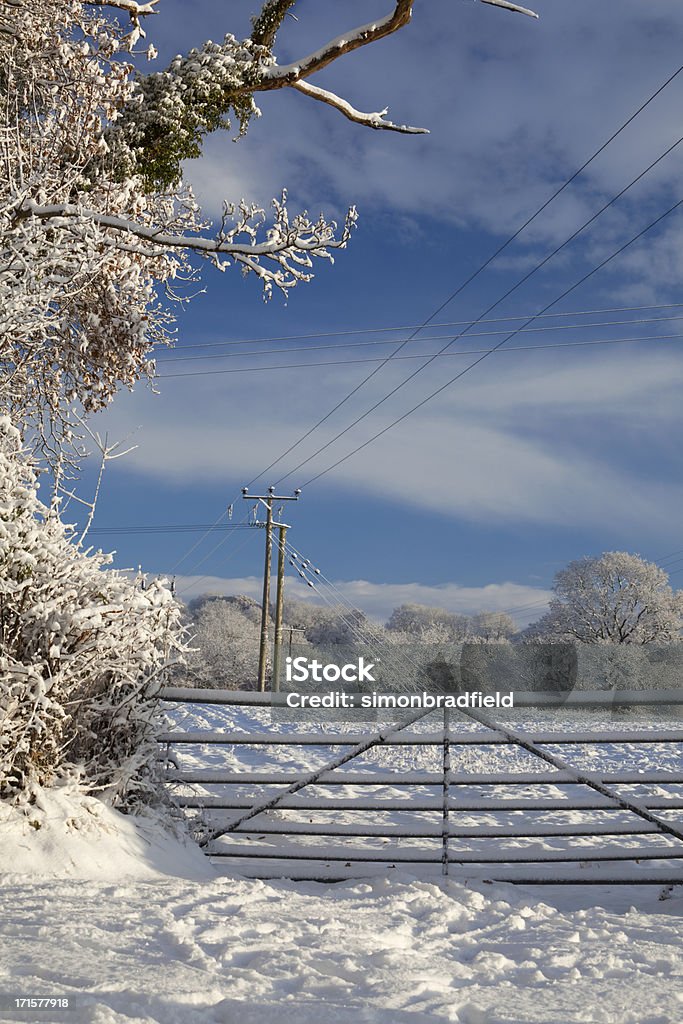 Snowy Scena rurale - Foto stock royalty-free di Neve