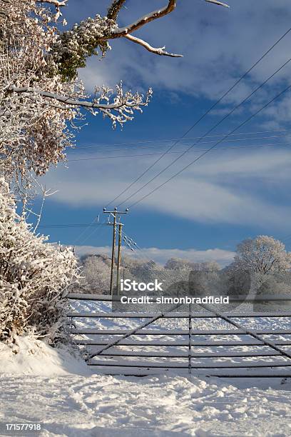 Snowy Scena Rurale - Fotografie stock e altre immagini di Neve - Neve, Siepe, Agricoltura