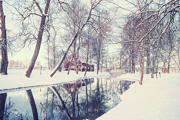 зима в швеции - awe non urban scene rural scene minus degrees стоковые фото и изображения