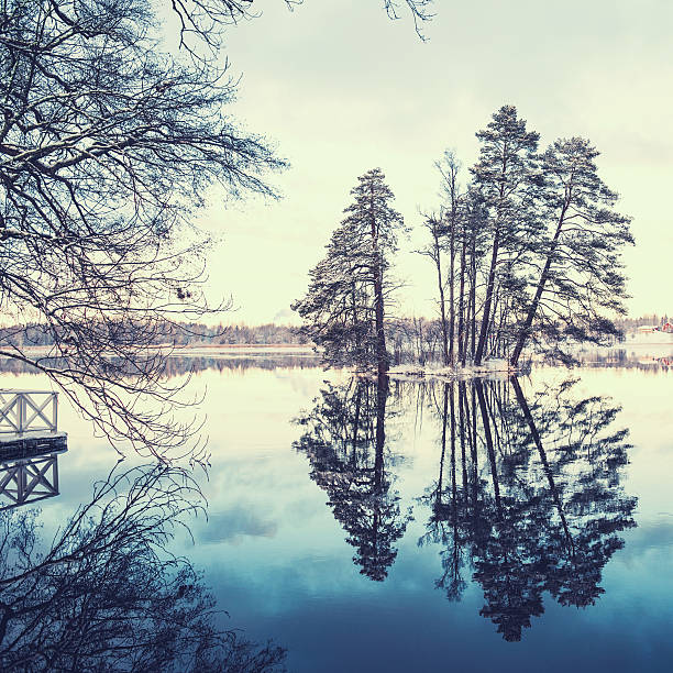 зима в швеции - awe non urban scene rural scene minus degrees стоковые фото и изо�бражения
