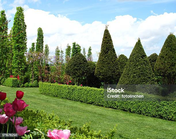 Wonderful Garden Stockfoto und mehr Bilder von Hecke - Hecke, Hausgarten, Baum