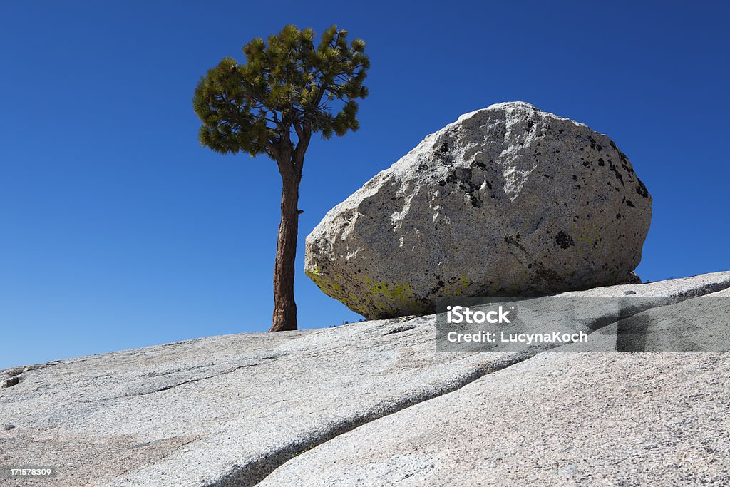 Granit und Baum - Lizenzfrei Amerikanische Sierra Nevada Stock-Foto